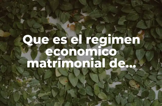 Que es el Regimen Economico Matrimonial de Gananciales