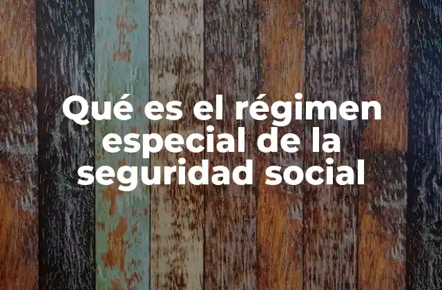 Qué es el Régimen Especial de la Seguridad Social