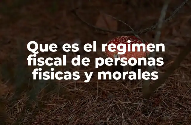 Que es el Regimen Fiscal de Personas Fisicas y Morales