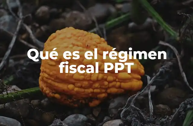 Qué es el Régimen Fiscal Ppt