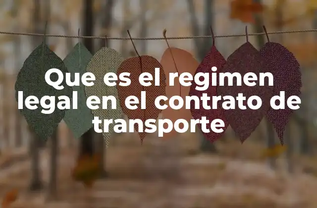 Que es el Regimen Legal en el Contrato de Transporte