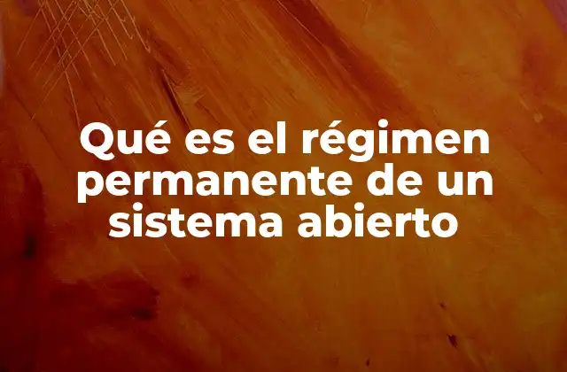 Qué es el Régimen Permanente de un Sistema Abierto
