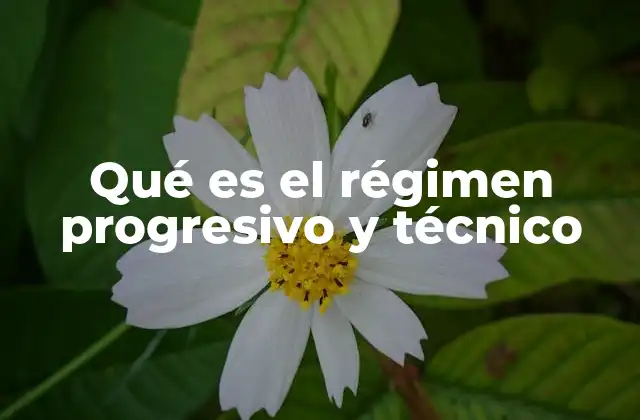 Qué es el Régimen Progresivo y Técnico