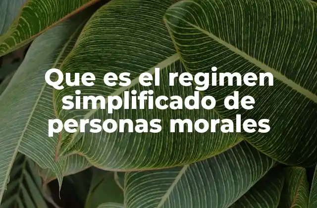 Que es el Regimen Simplificado de Personas Morales