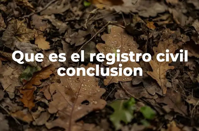 Que es el Registro Civil Conclusion