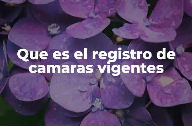 Que es el Registro de Camaras Vigentes