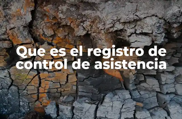 Que es el Registro de Control de Asistencia