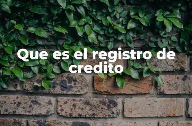Que es el Registro de Credito