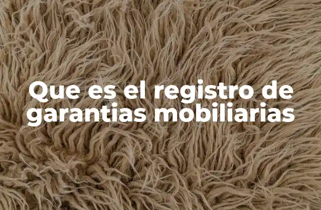 Que es el Registro de Garantias Mobiliarias