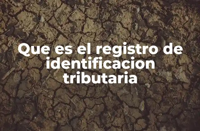 Que es el Registro de Identificacion Tributaria