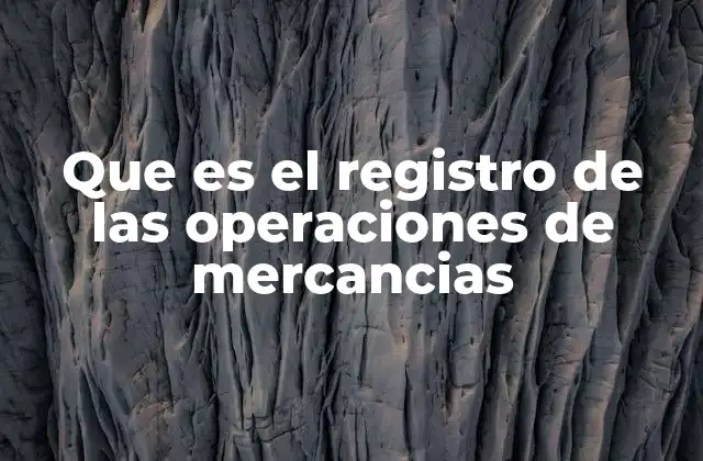 Que es el Registro de las Operaciones de Mercancias