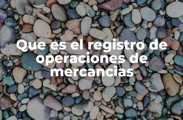 Que es el Registro de Operaciones de Mercancias 2 El control documental en la gestión de mercancías