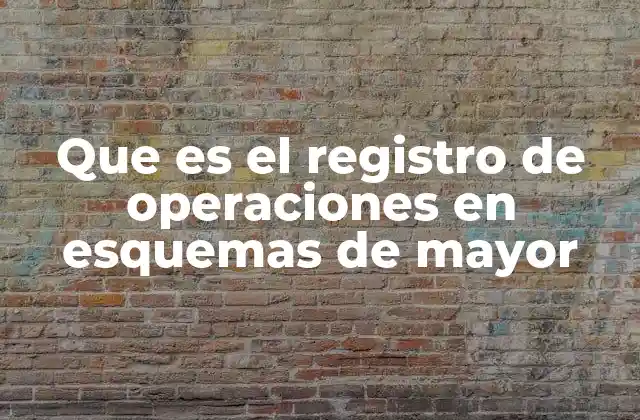 Que es el Registro de Operaciones en Esquemas de Mayor