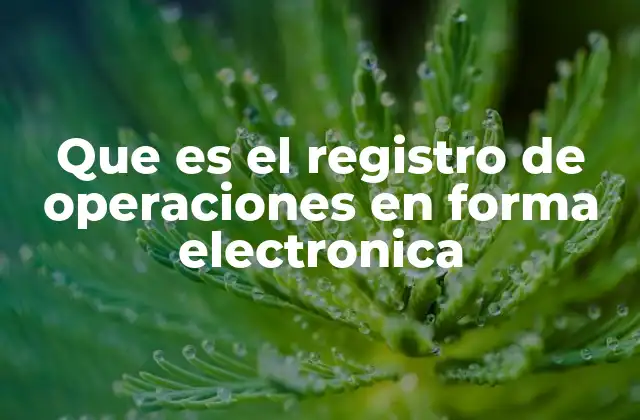 Que es el Registro de Operaciones en Forma Electronica
