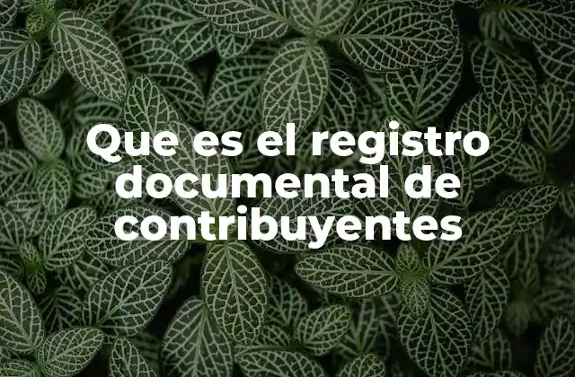 Que es el Registro Documental de Contribuyentes 2 El papel del registro documental en la gestión tributaria