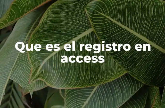 Que es el Registro en Access 2 Estructura básica de los registros en una base de datos Access
