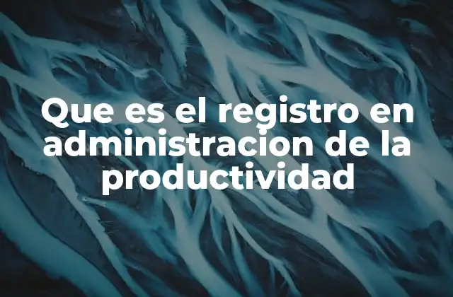 Que es el Registro en Administracion de la Productividad
