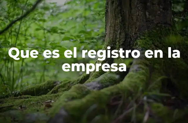 Que es el Registro en la Empresa