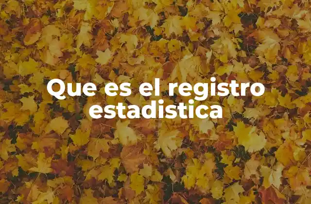 Que es el Registro Estadistica