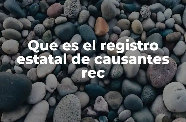 Que es el Registro Estatal de Causantes Rec 2 El papel del Registro Estatal de Causantes en la administración tributaria estatal