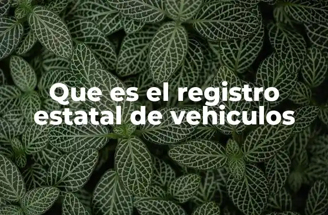 Que es el Registro Estatal de Vehiculos