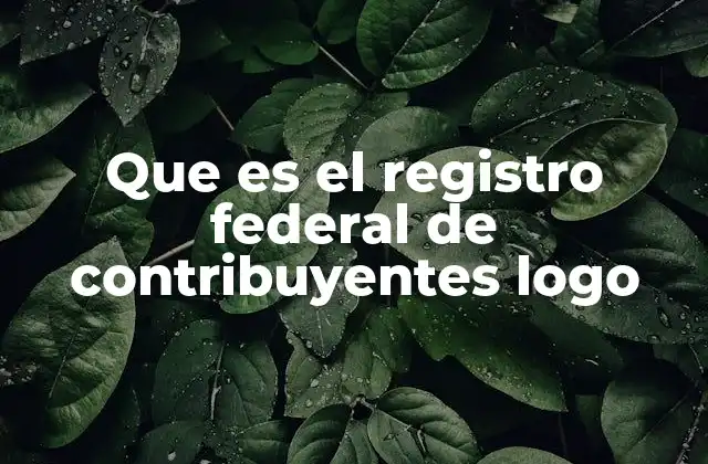 Que es el Registro Federal de Contribuyentes Logo