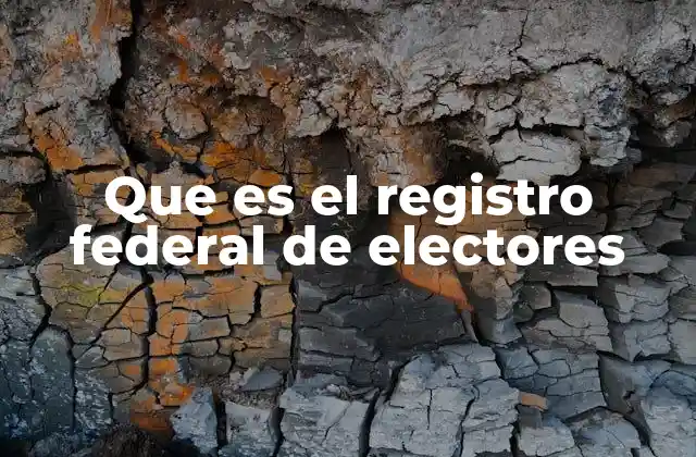 Que es el Registro Federal de Electores