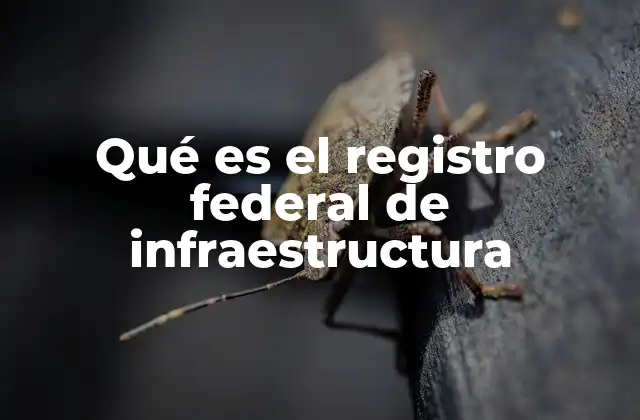 La importancia del Registro Federal de Infraestructura en la planificación nacional