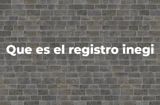Que es el Registro Inegi
