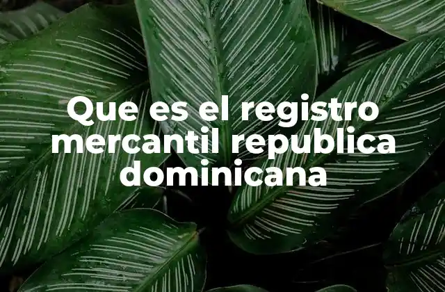 La importancia del Registro Mercantil en el entorno empresarial dominicano