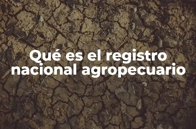 Qué es el Registro Nacional Agropecuario 2 Importancia del registro en el desarrollo rural