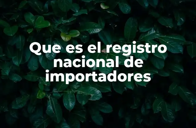 Cómo funciona el proceso de importación bajo el Registro Nacional de Importadores