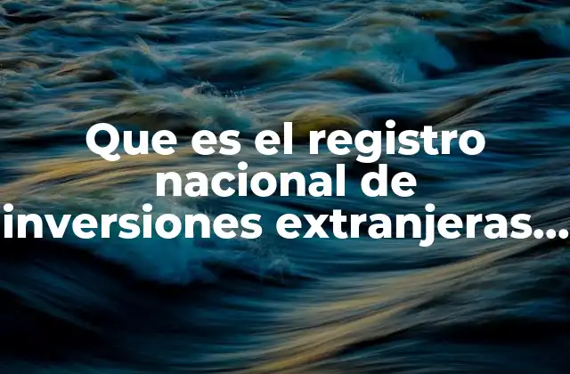 Que es el Registro Nacional de Inversiones Extranjeras Rnie