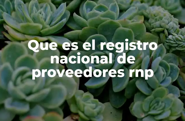 Que es el Registro Nacional de Proveedores Rnp 2 ¿Cómo se relaciona el RNP con las contrataciones públicas en México?