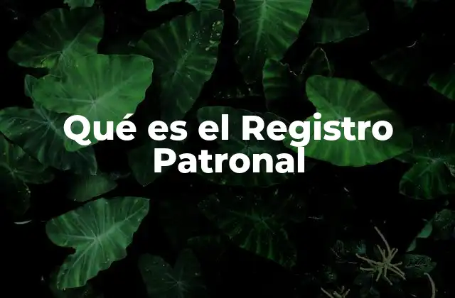 Qué es el Registro Patronal