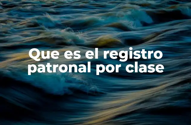 Que es el Registro Patronal por Clase