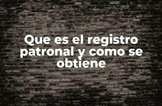 Que es el Registro Patronal y como Se Obtiene