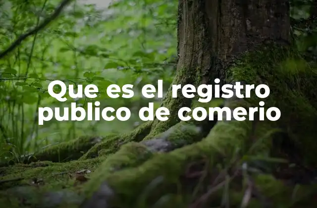 Que es el Registro Publico de Comerio