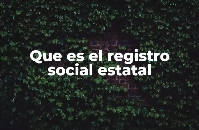 Que es el Registro Social Estatal