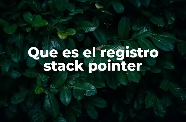 Que es el Registro Stack Pointer