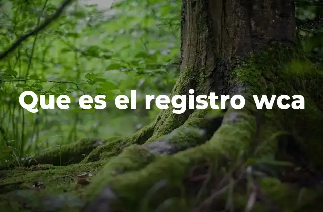 Que es el Registro Wca