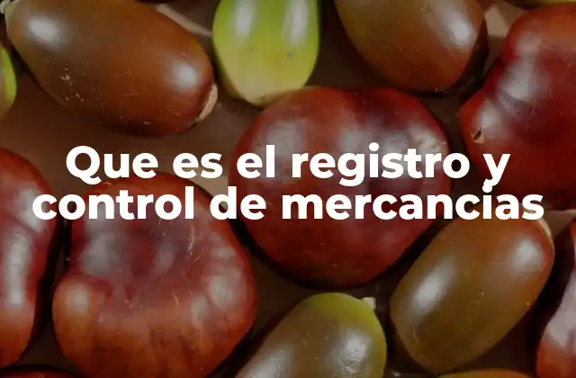 Que es el Registro y Control de Mercancias