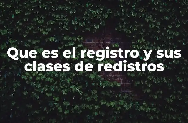 Que es el Registro y Sus Clases de Redistros 2 Tipos de registros en diferentes contextos