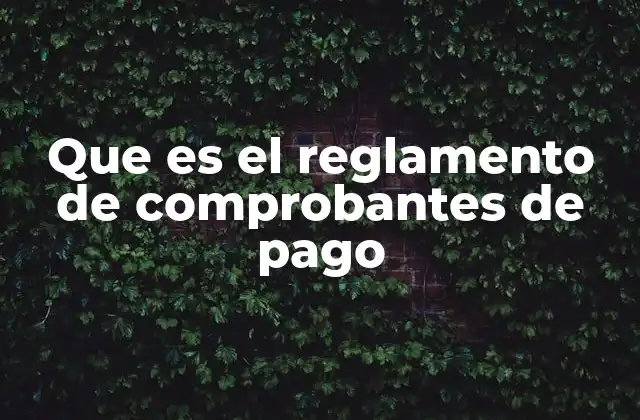 La importancia de los comprobantes en el sistema tributario