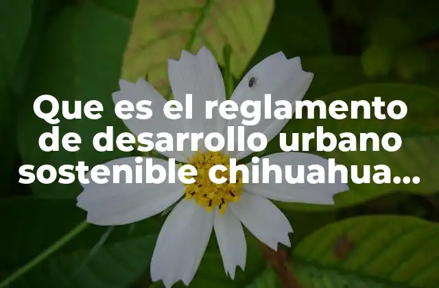 Que es el Reglamento de Desarrollo Urbano Sostenible Chihuahua Resumen