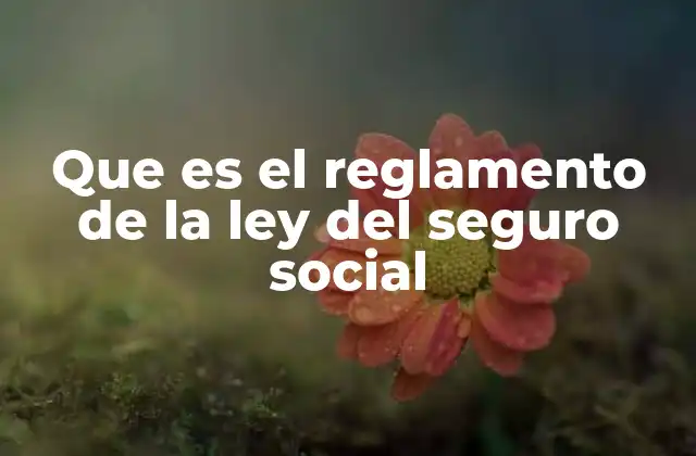 Que es el Reglamento de la Ley Del Seguro Social
