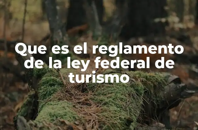 Que es el Reglamento de la Ley Federal de Turismo