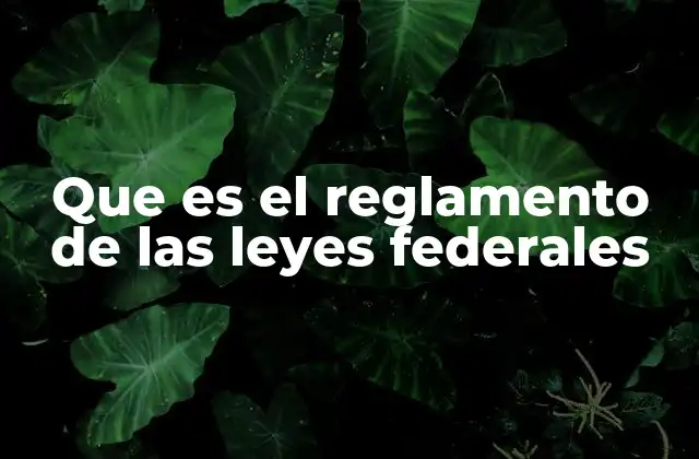 Que es el Reglamento de las Leyes Federales