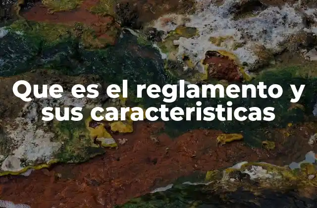 La importancia de los reglamentos en el funcionamiento institucional
