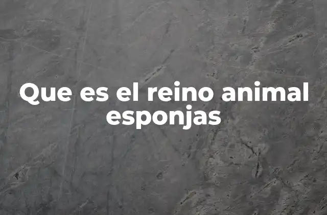 Que es el Reino Animal Esponjas